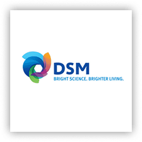 دی اس ام- DSM